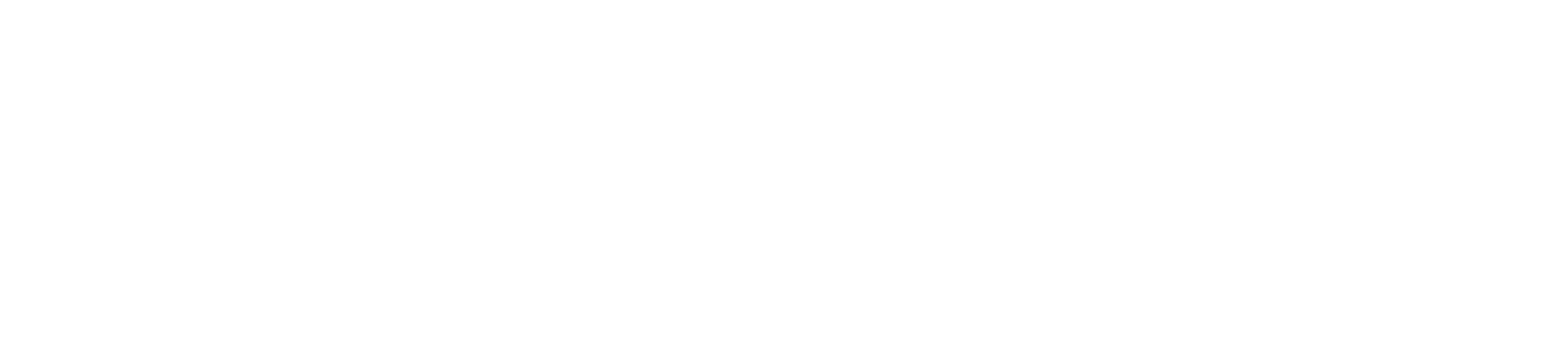 FERRIX
